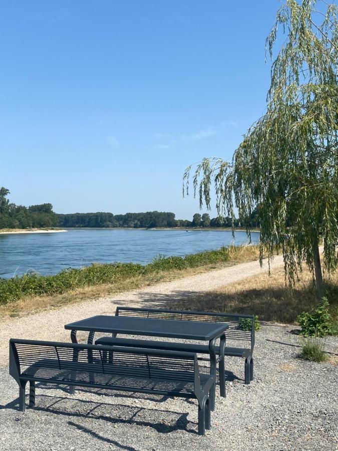 Altlussheim Ferienhaus Hoffmann Am Rheinbogen מראה חיצוני תמונה